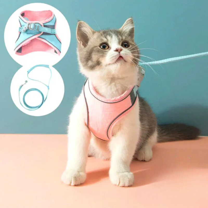 Comfortable and secure cat harness - Ideal for outings
