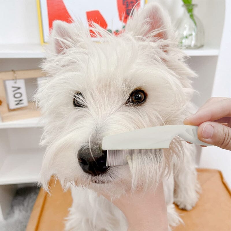 Pettine Multifunzionale per Animali – Toelettatura, Salute e Comfort in un unico strumento!