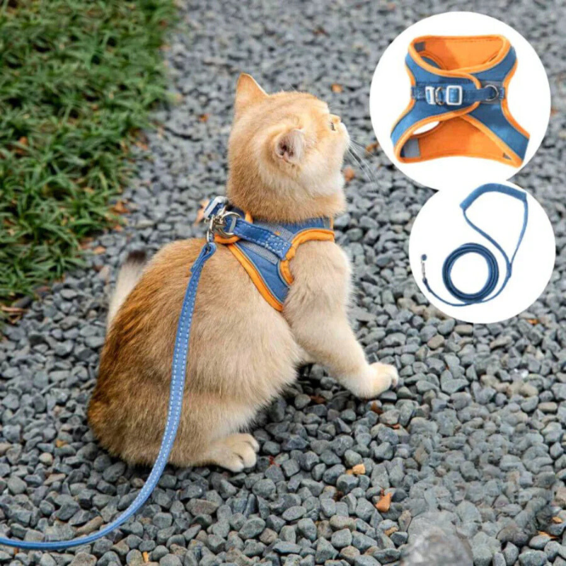 Bequemer und sicherer Katzenharness - Ideal für Ausflüge 