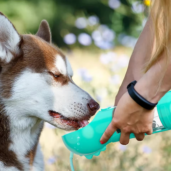 4-in-1 fles om uw hond te hydrateren en te voeden 